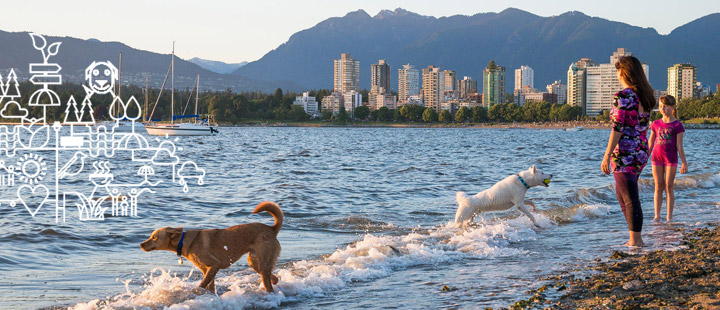 People, Parks, and Dogs: A strategy for sharing Vancouver's parks