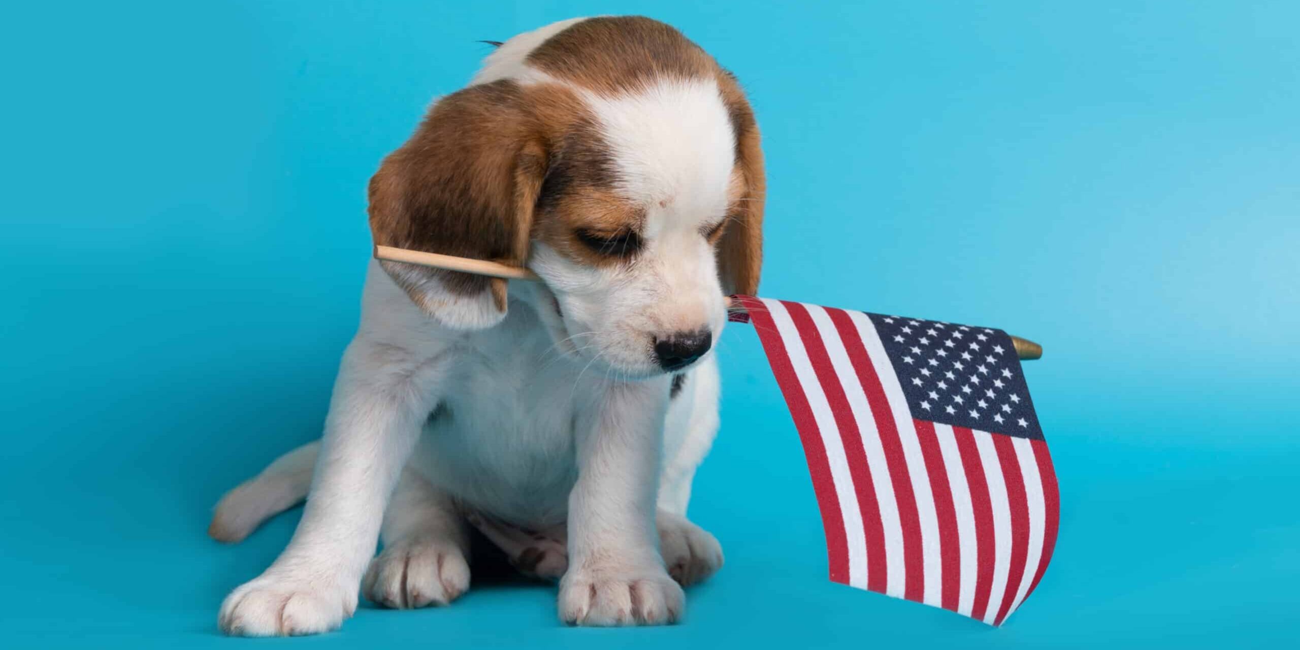 USA CDC registered