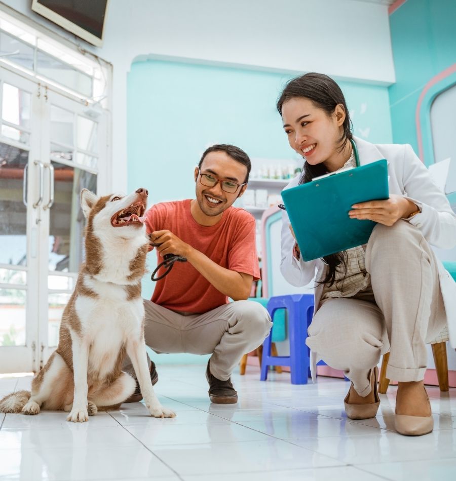 Pet Health Checkup for UK