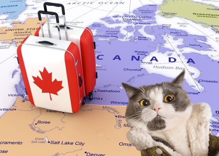 Pet Travel To Canada