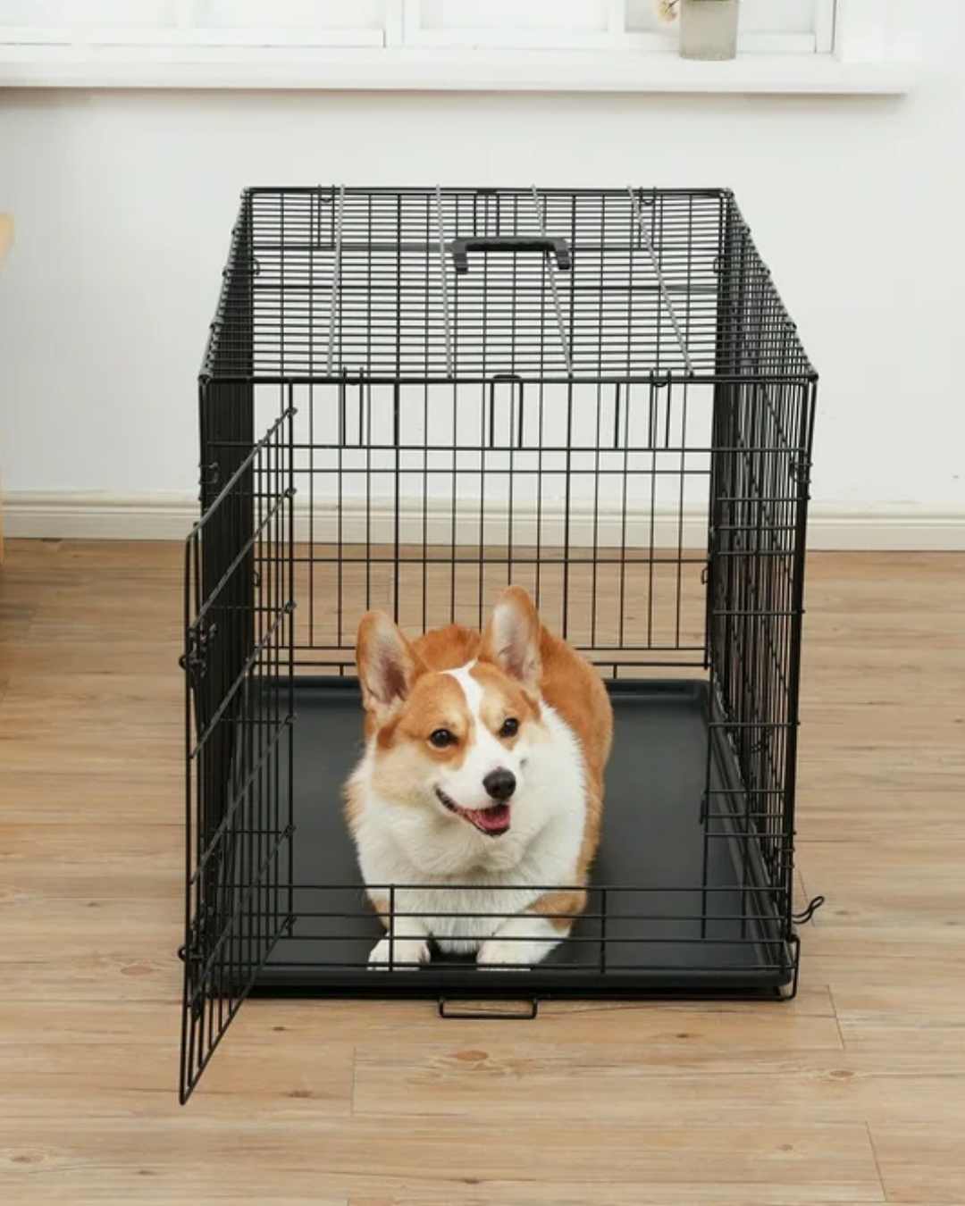 Pet crate training - Finland Pet crate training - Finland