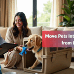 How to Move Pets Internationally from India: A Stress-Free Guide for Pet Parents