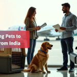 Relocating Pets to Poland from India: What Nobody Tells You About Pet Travel
